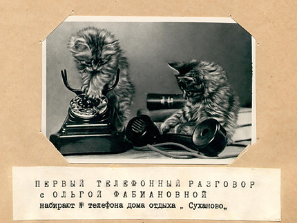 XXII-356(4).jpg